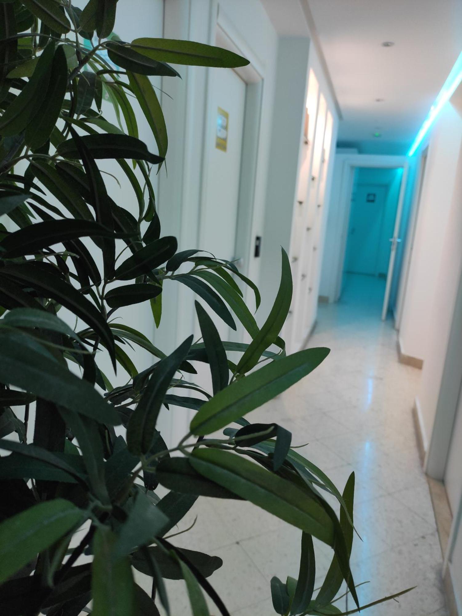 Palermo Central B&B Eksteriør billede
